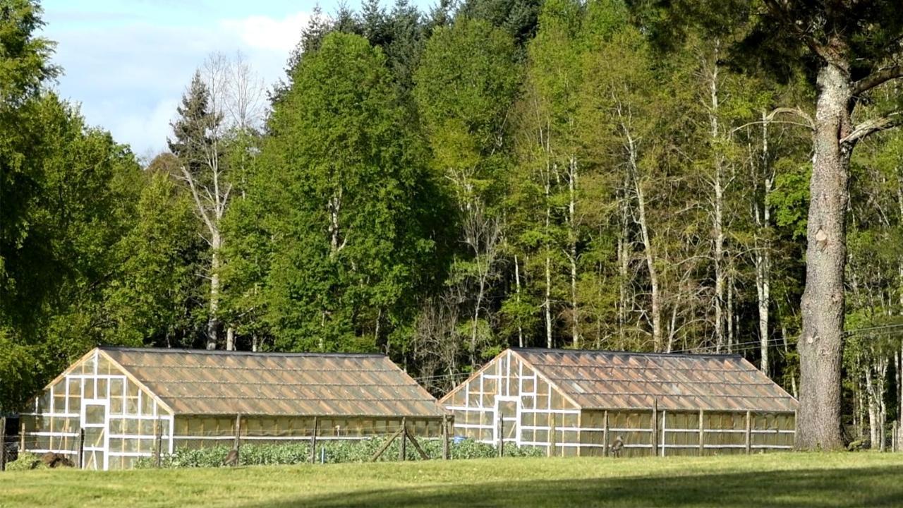 Das Dorf Hotel Pucon Exterior photo